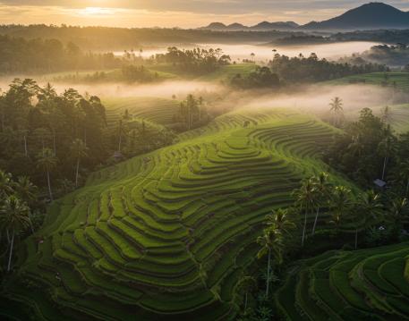 Nature / Landscapes