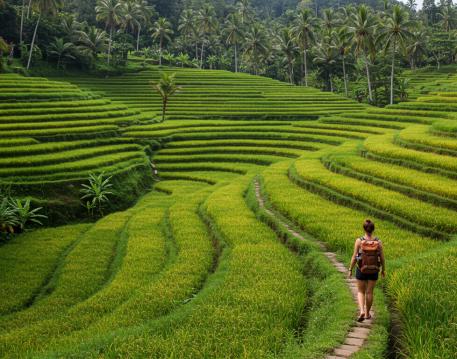 Travel